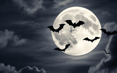Scary Stories from The Dark Side of Archival